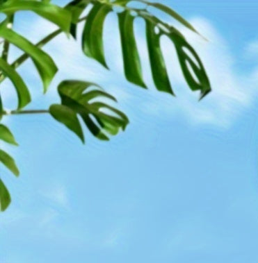 Y19 Handheld Desktop Fan